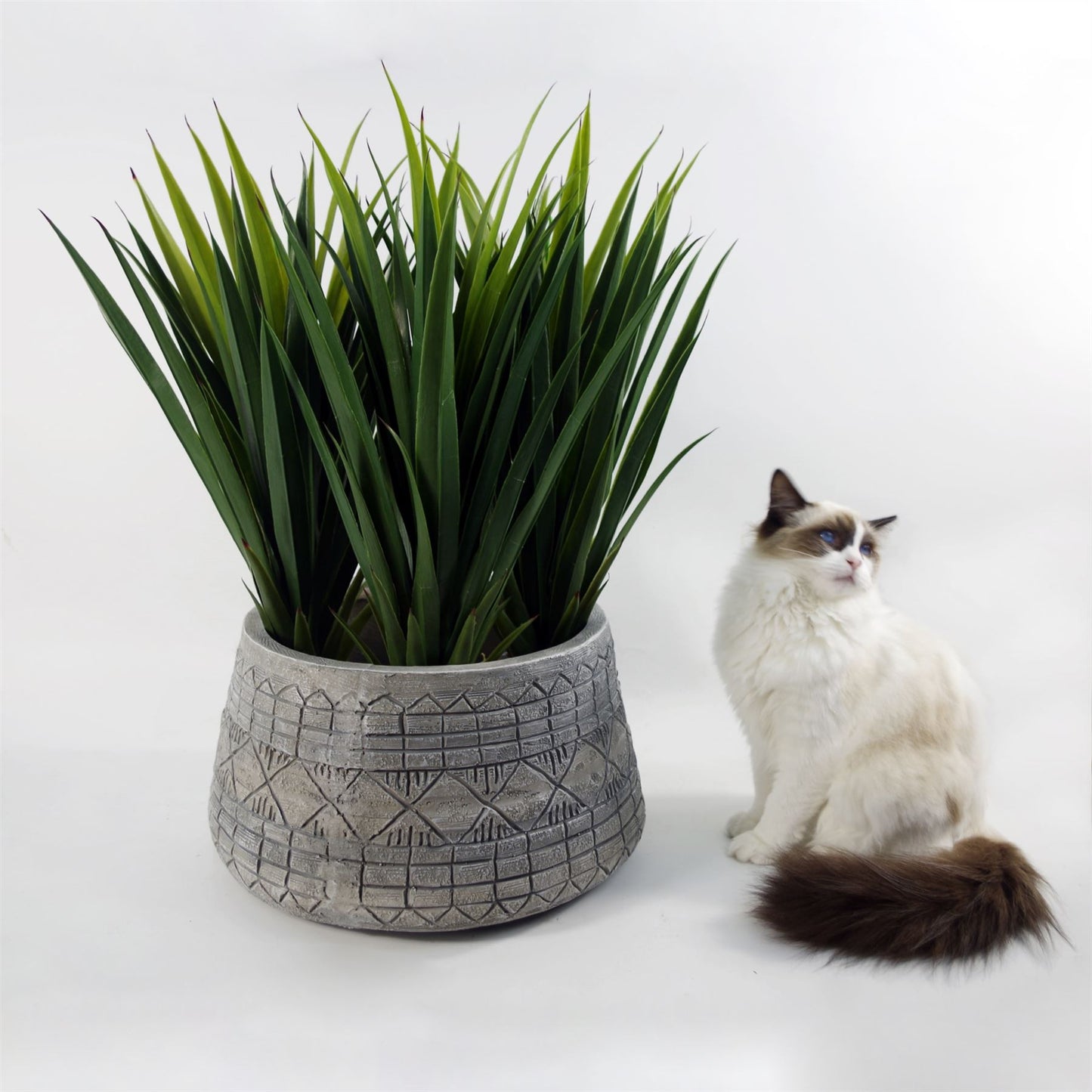 x 37cm Large Grey Gliese Embossed Planter 22cm – image 9