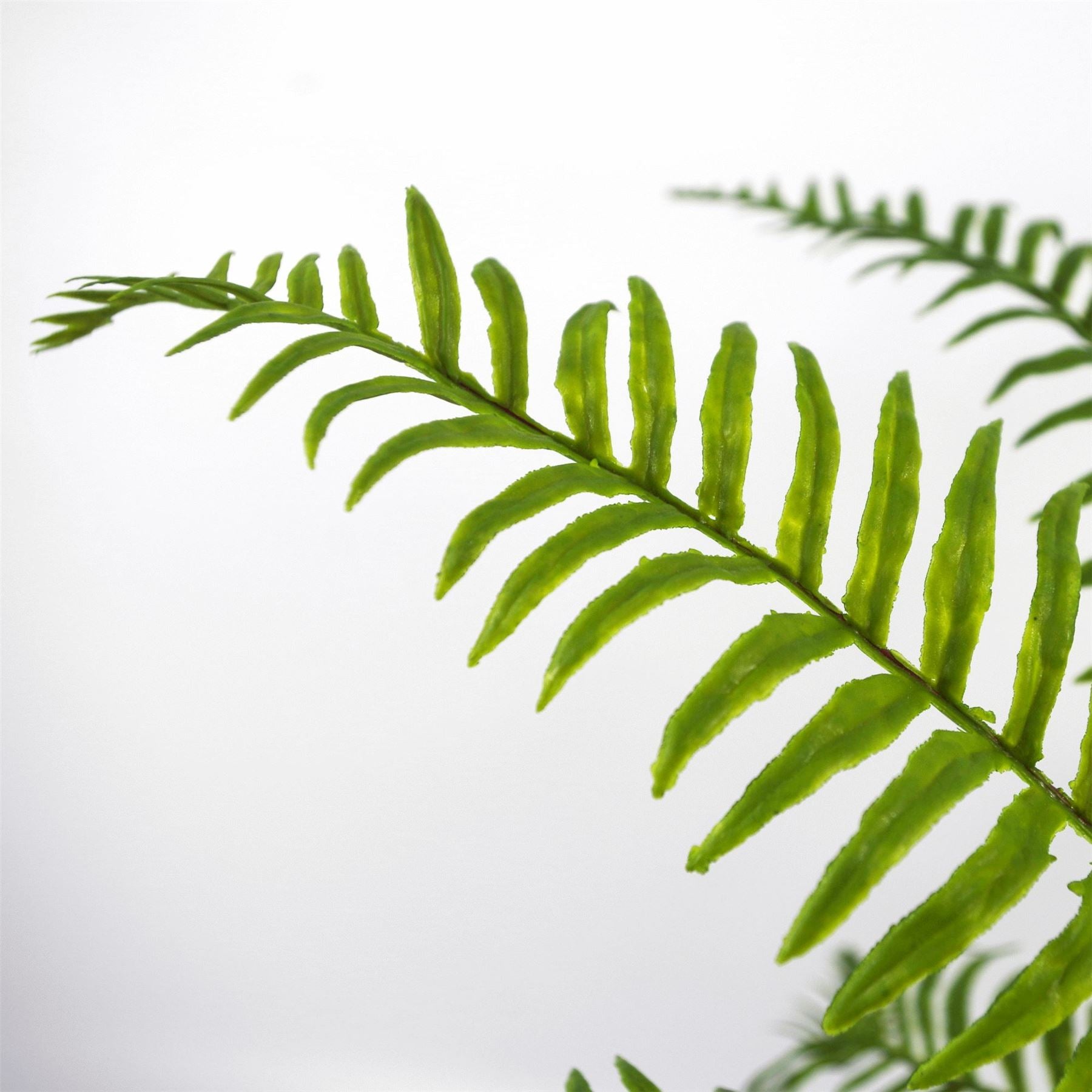 50cm Artificial Boston Fronded Fern Plant – image 3