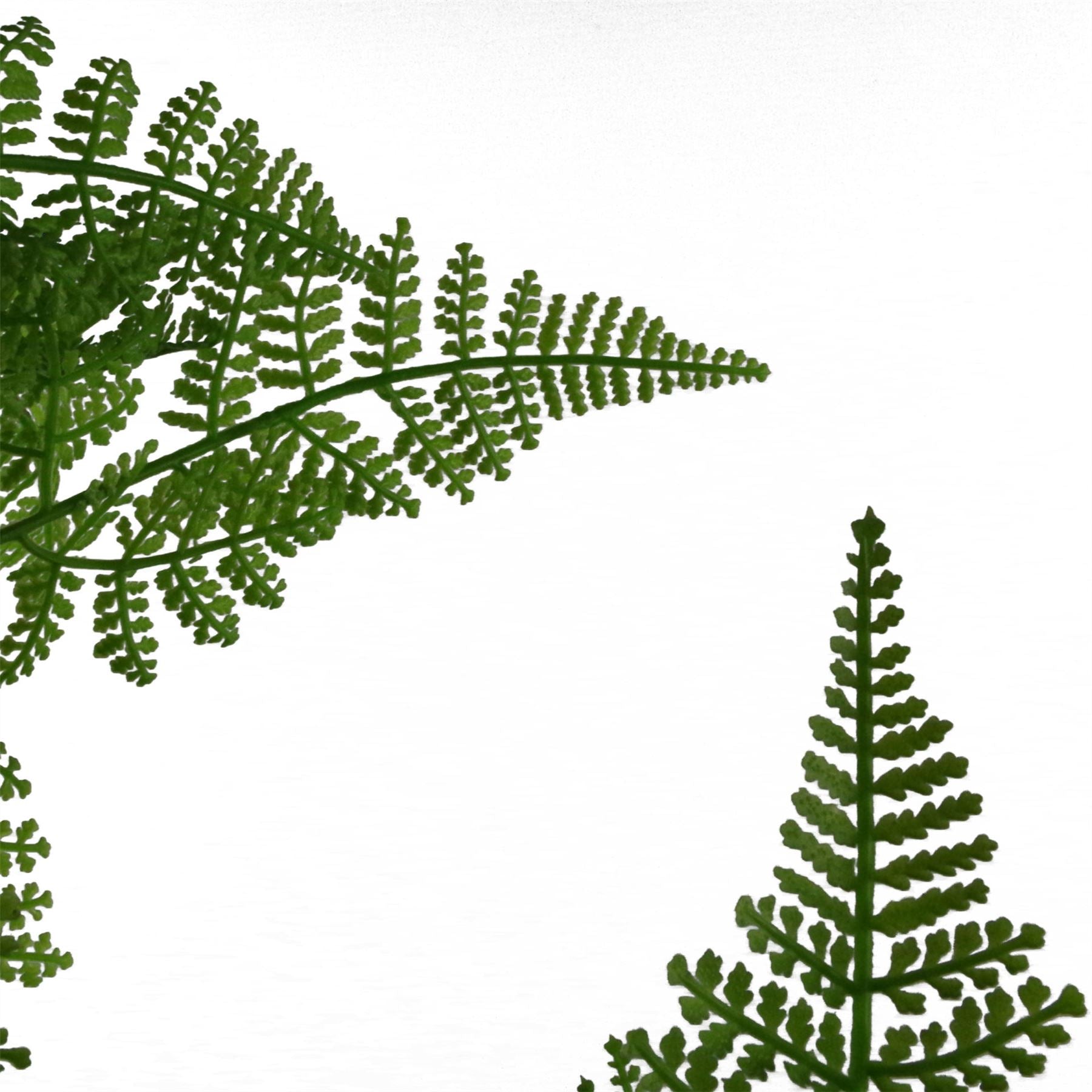 Artificial 90cm Natural Moss Base Fern Foliage Plant – image 7