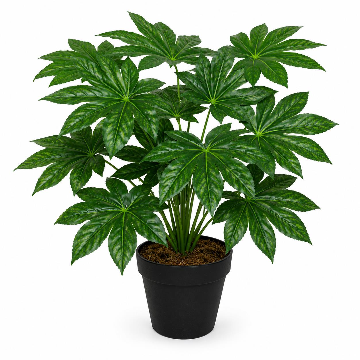 60cm Artificial Japanese Aralia Plant Evergreen – image 2