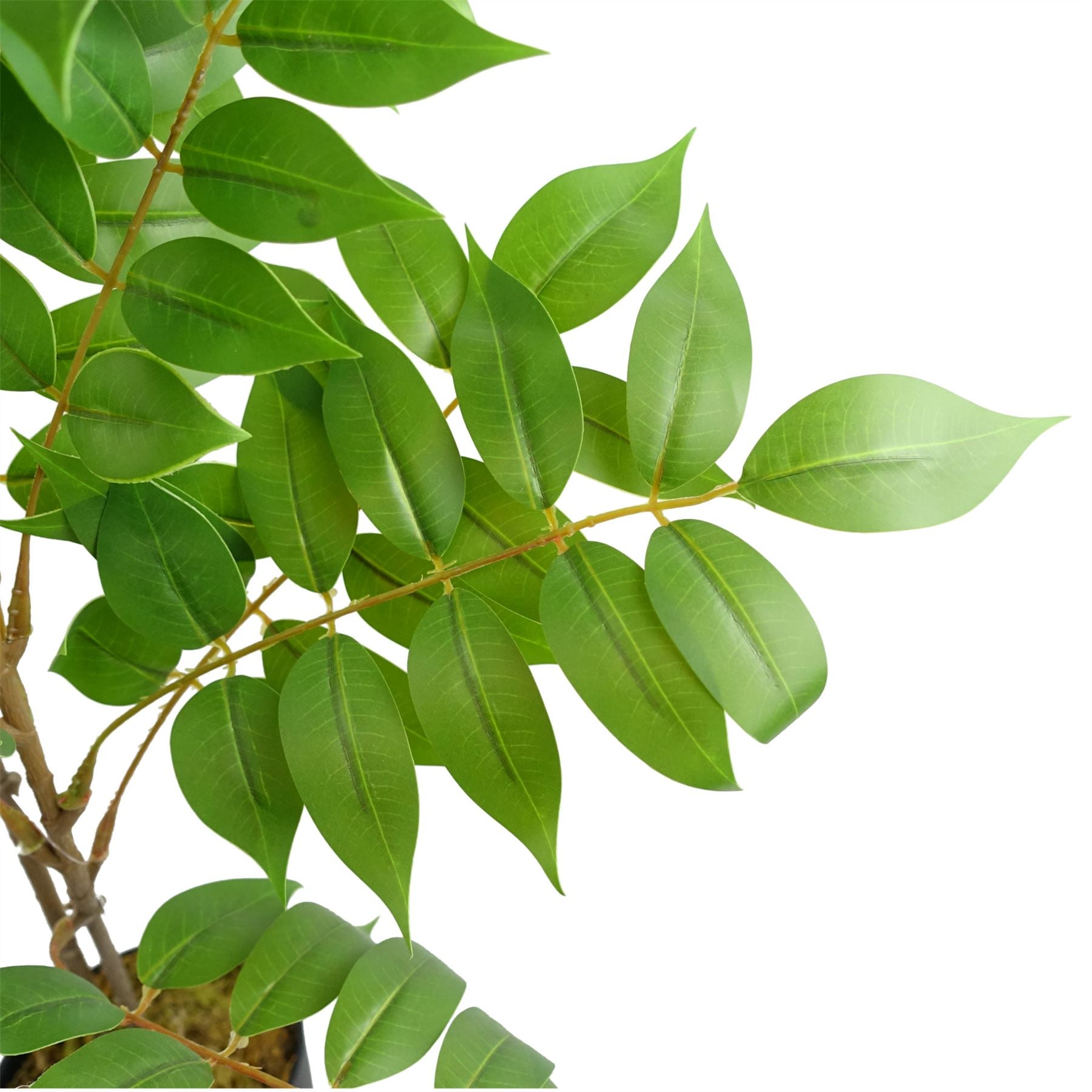 65cm Artificial Toona Sinensis Plant Evergreen – image 4