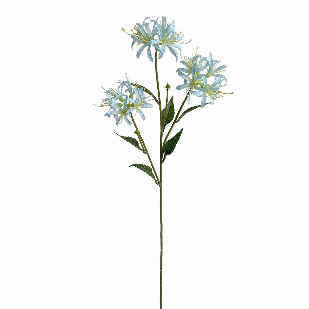 72cm Artificial Light Blue Spider Lily Stem