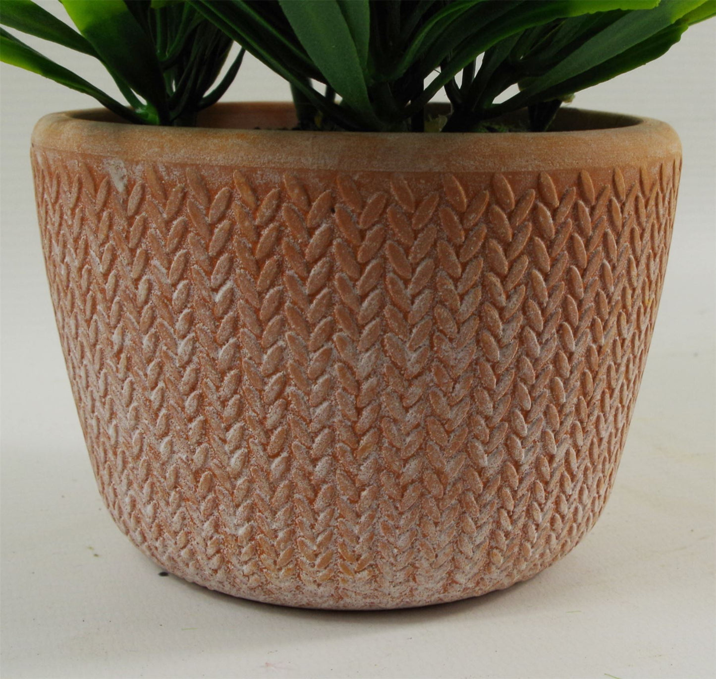 22cm Artificial Honey Plant Dark Green in Terracotta Pot – image 2