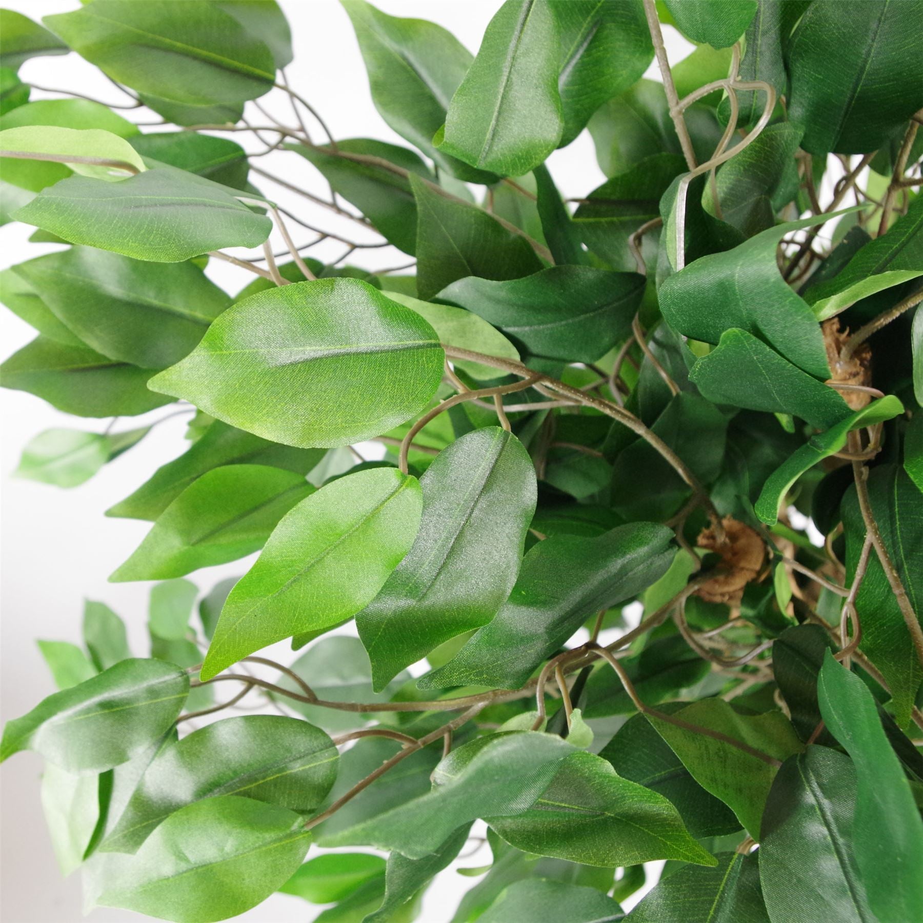 90cm Artificial Evergreen Ficus Tree – image 2