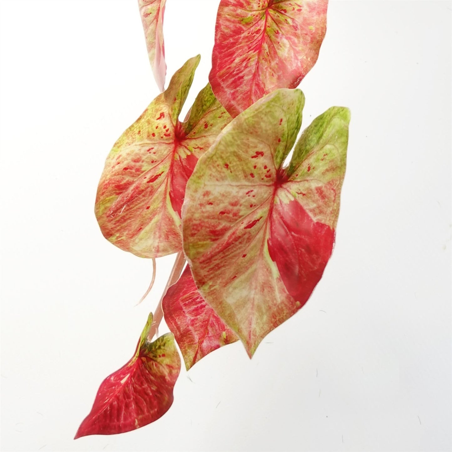 35cm Artificial Hanging Trailing Plant Pink Splash Caladium – image 5