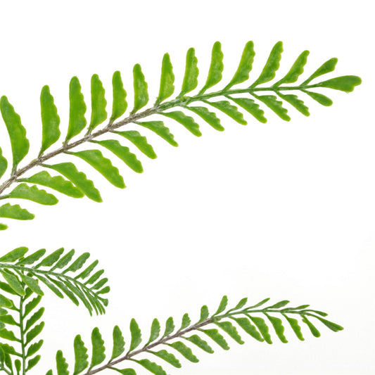 55cm Artificial Himilayan Maidenhair Fern Bush Light Green Plant – image 2