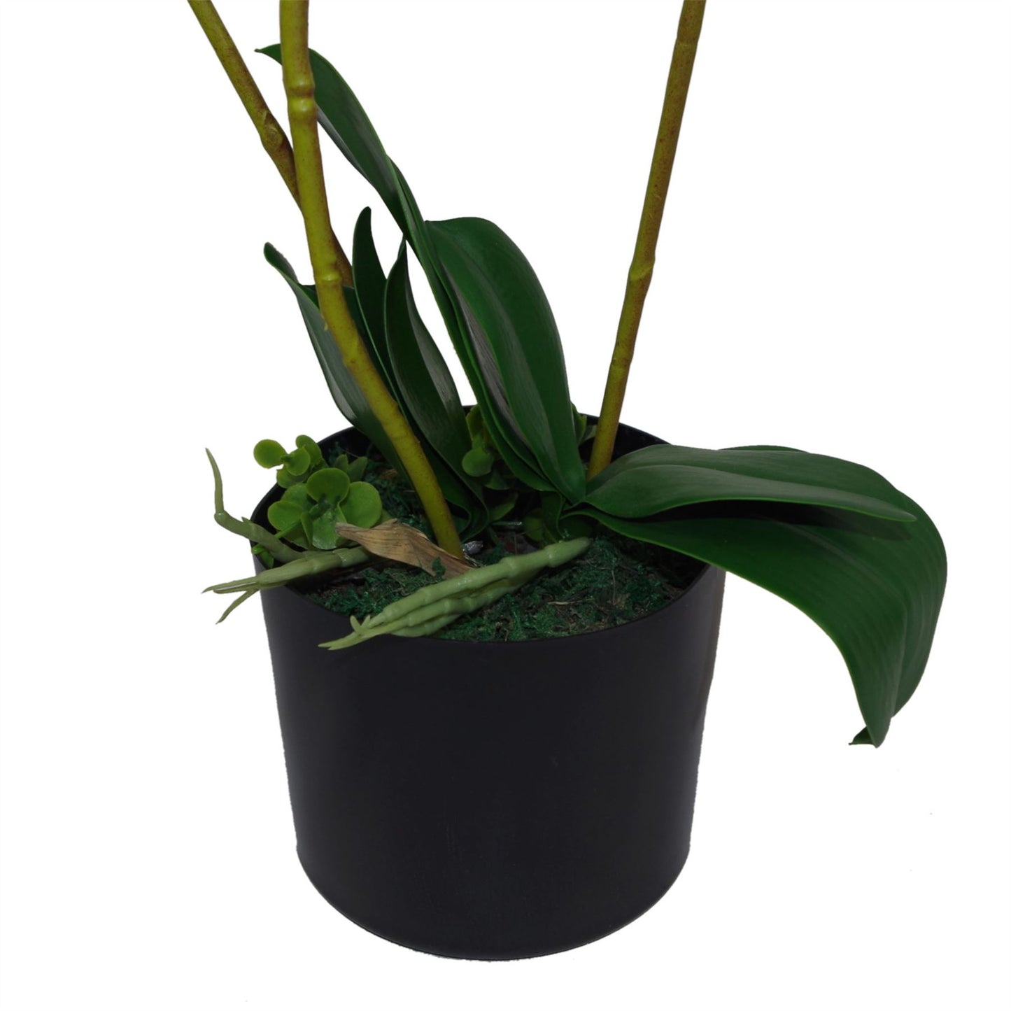 65cm Luxury Artificial Orchid 3 Stems Soft White Plant – image 2