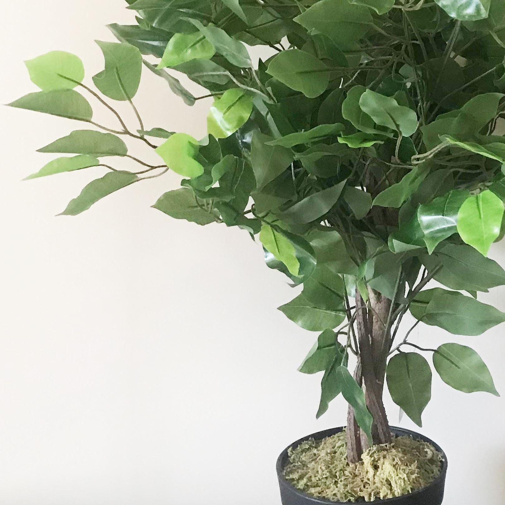 60cm Artificial Ficus Tree Large Bushy Shape – image 3