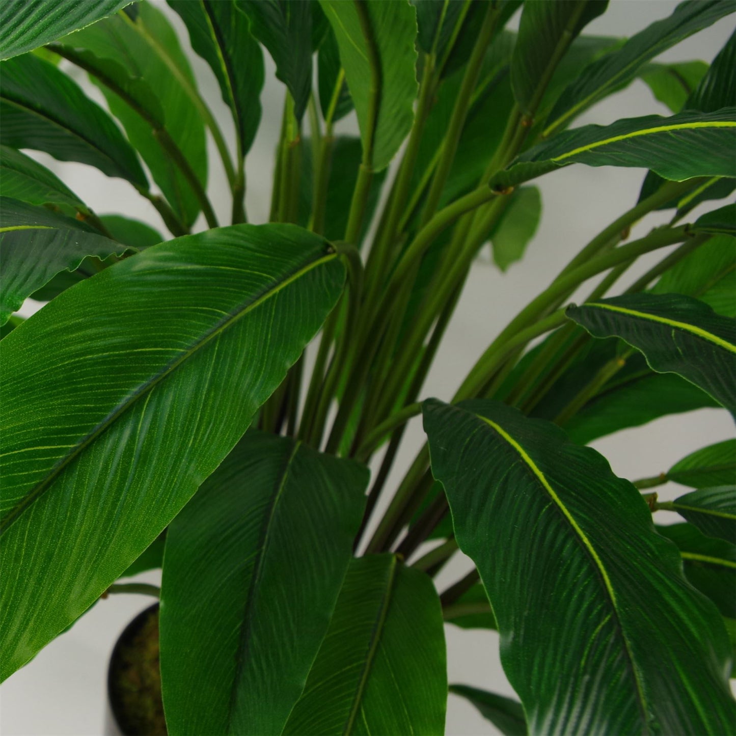 60cm Artificial Calathea Evergreen Plant – image 4