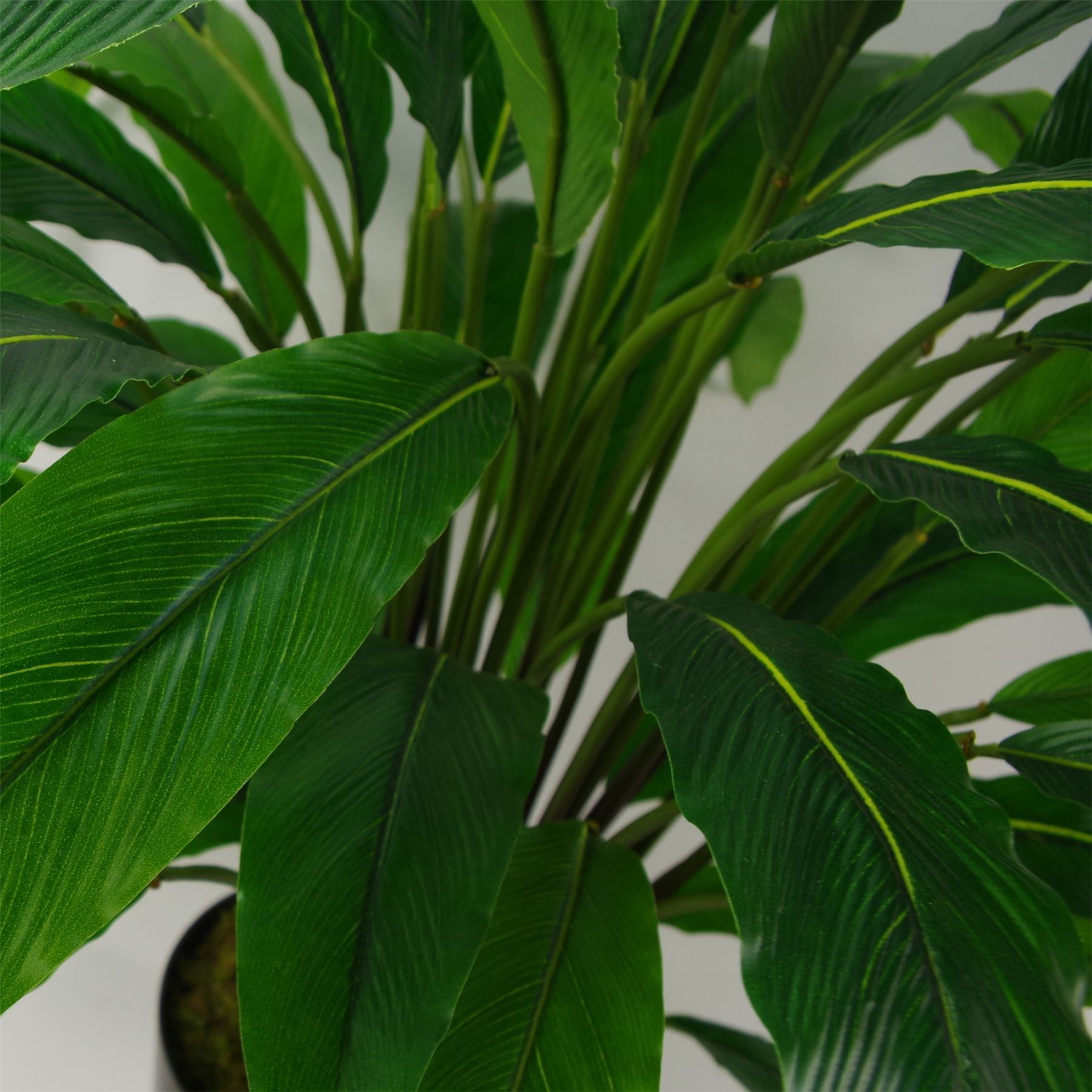 60cm Artificial Calathea Evergreen Plant – image 4