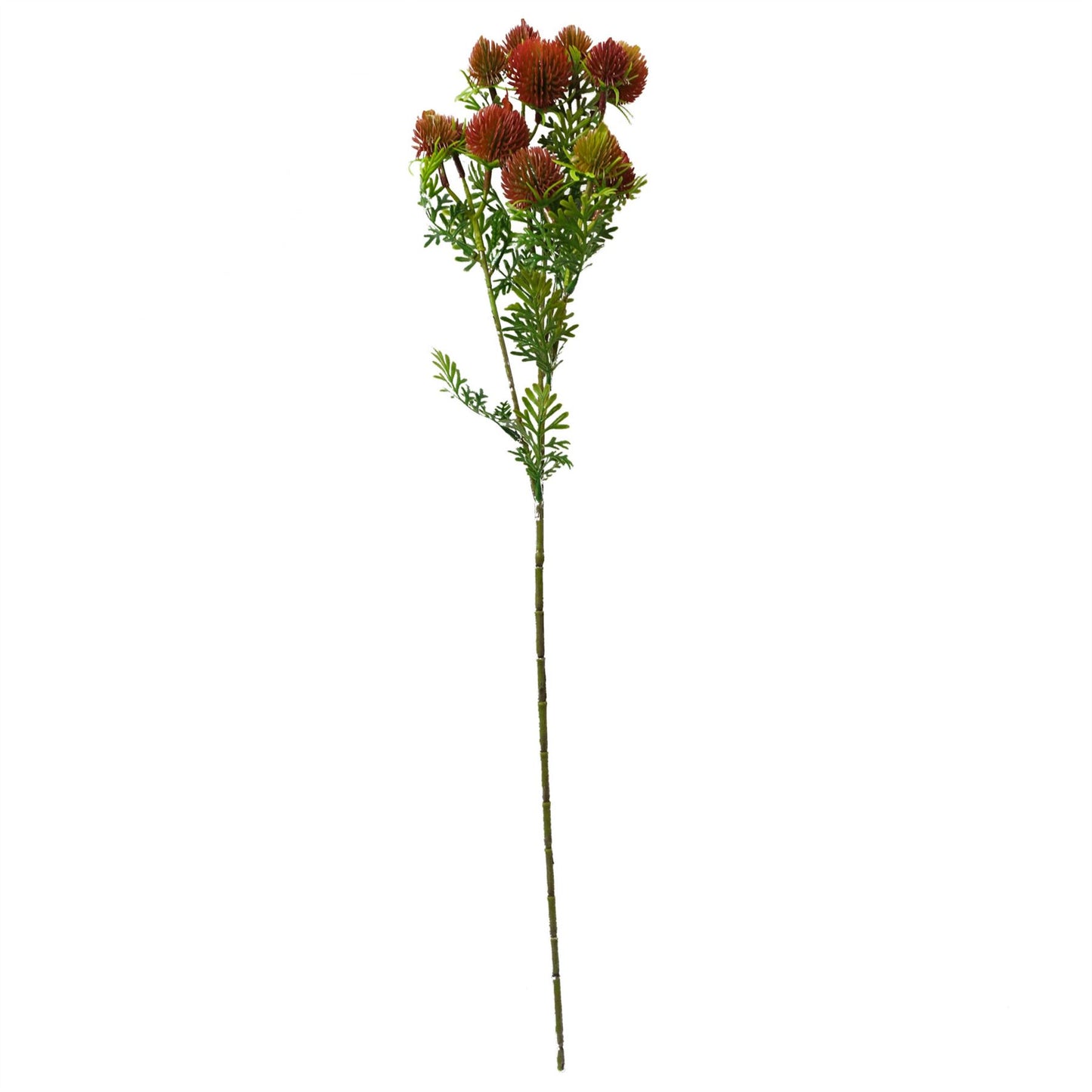 55cm Craspedia Stem Red Artificial – image 2