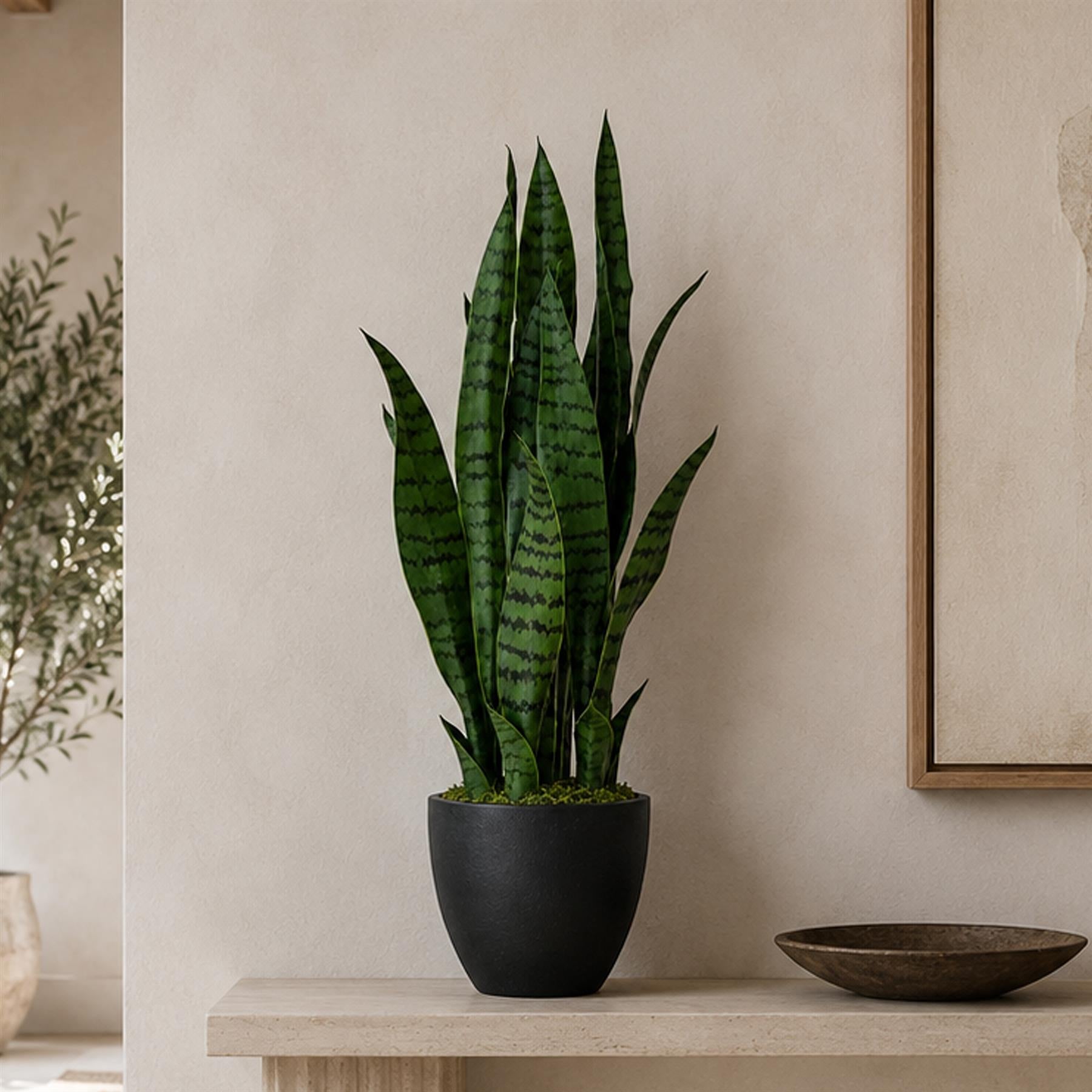 70cm Artificial Sansevieria Dark Green – image 3