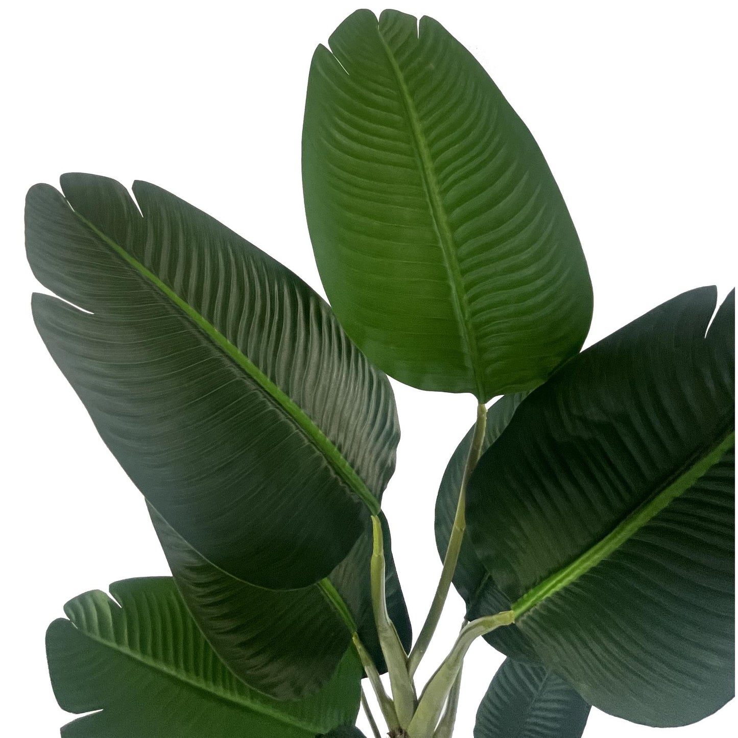 150cm Artificial UV Traveller Banana Palm Tree – image 3