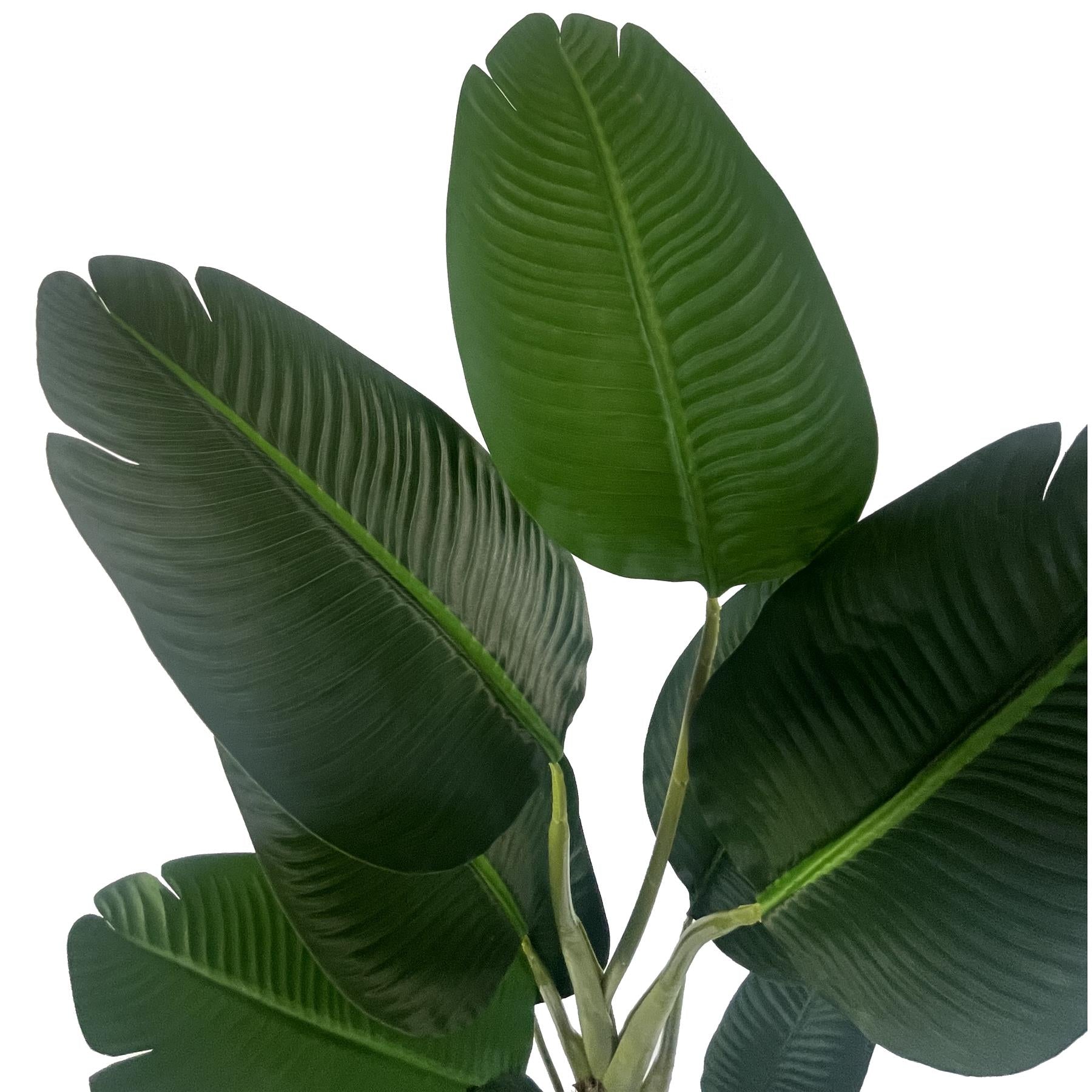 150cm Artificial UV Traveller Banana Palm Tree – image 3