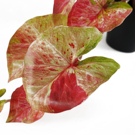 35cm Artificial Hanging Trailing Plant Pink Splash Caladium – image 2