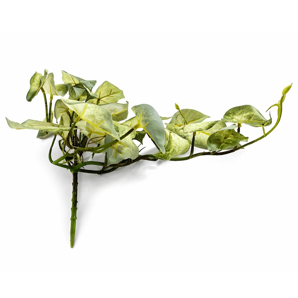 25cm Artificial Trailing Variegated Caladium Vine Plant Light Green – image 3