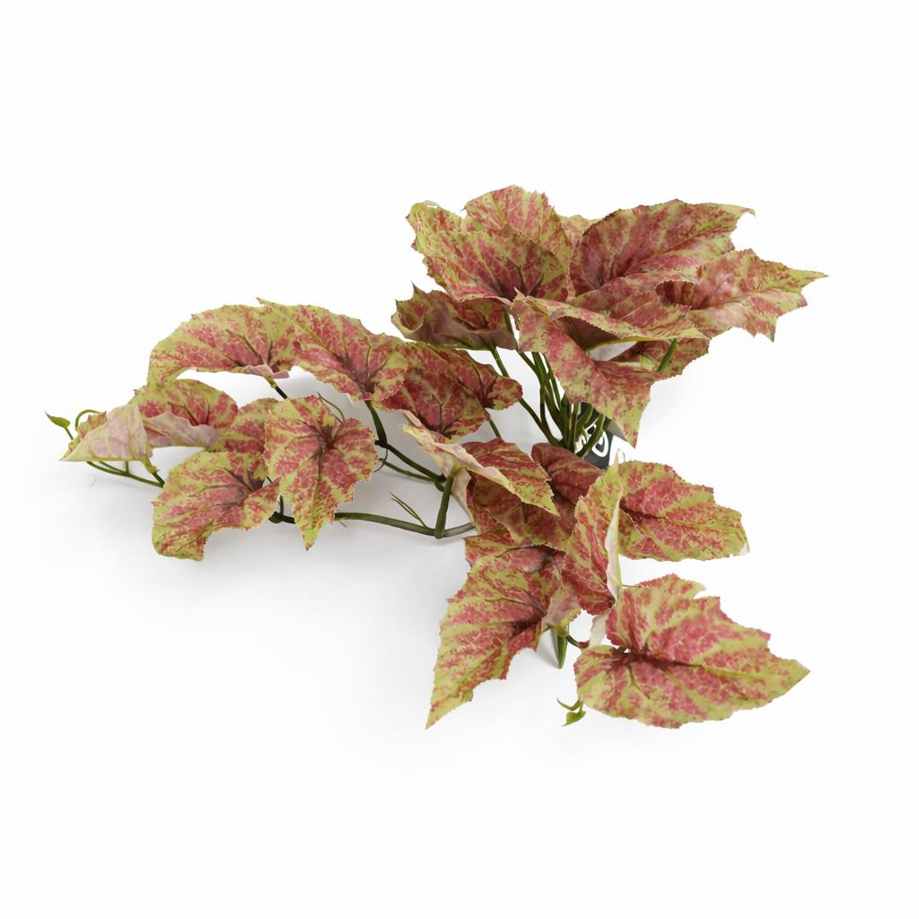 30cm Artificial Trailing Pink and Green Caladium – image 2