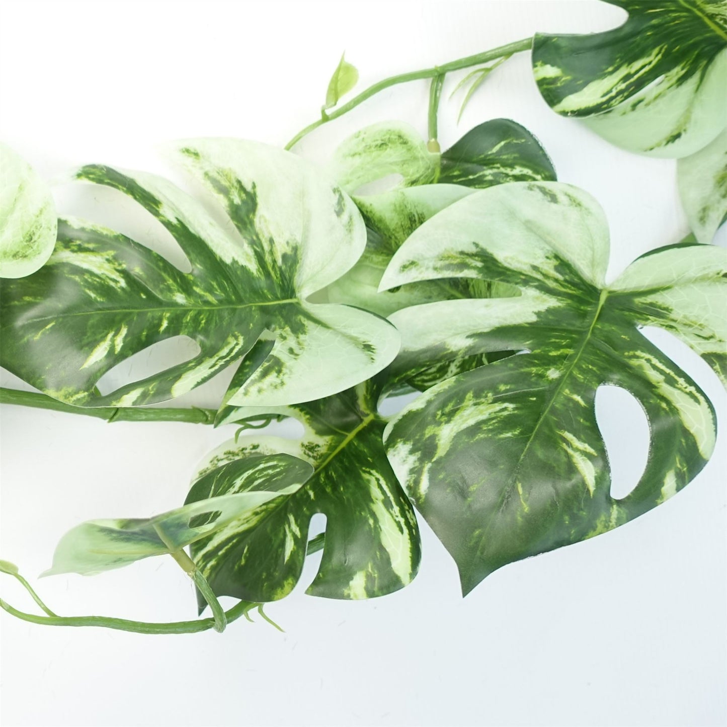 180cm Artificial Hanging Trailing Variegated Monstera Plant – image 5