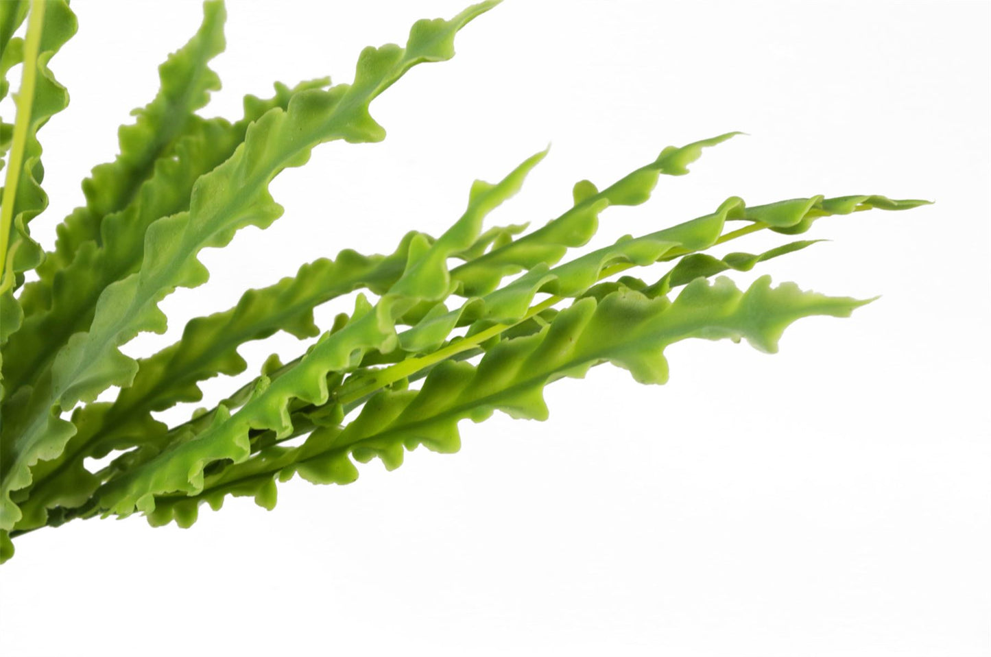 40cm Artificial Crocodile Fern Plant – image 5