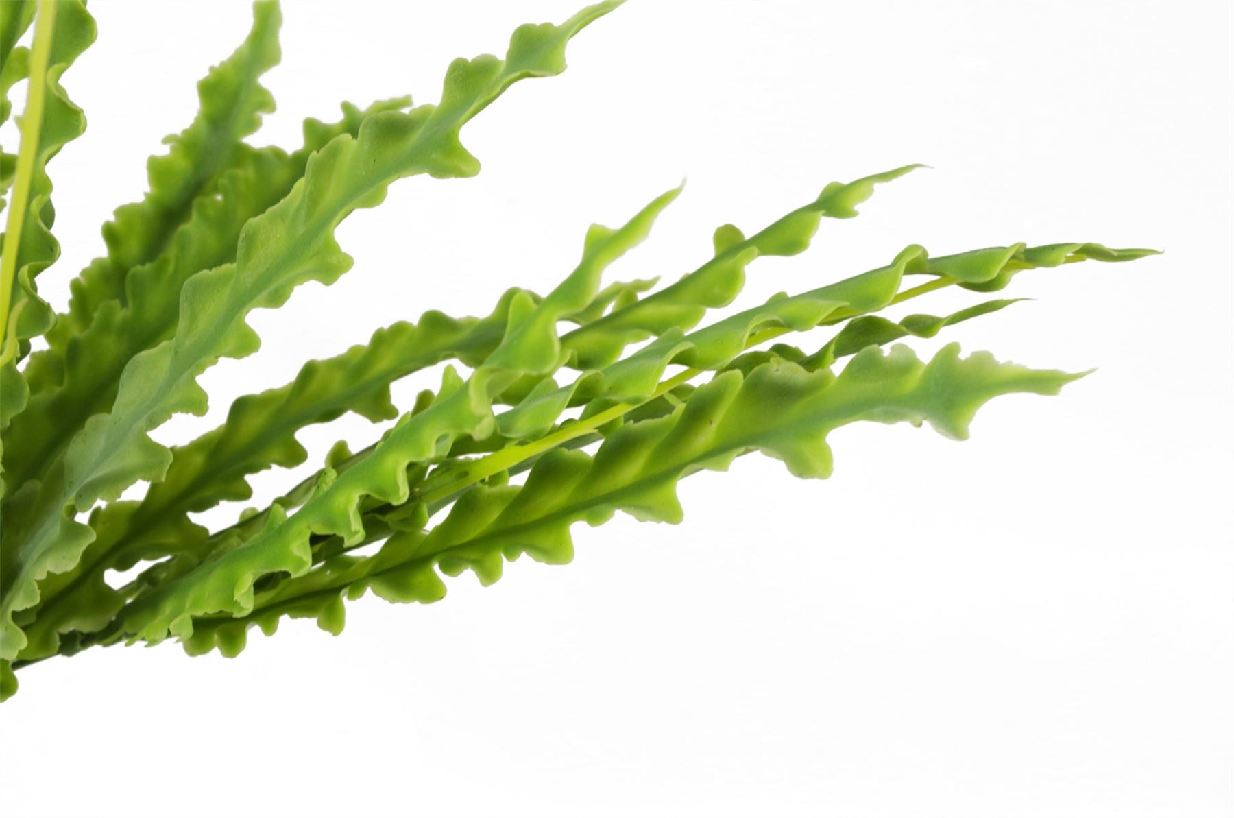 40cm Artificial Crocodile Fern Plant – image 5