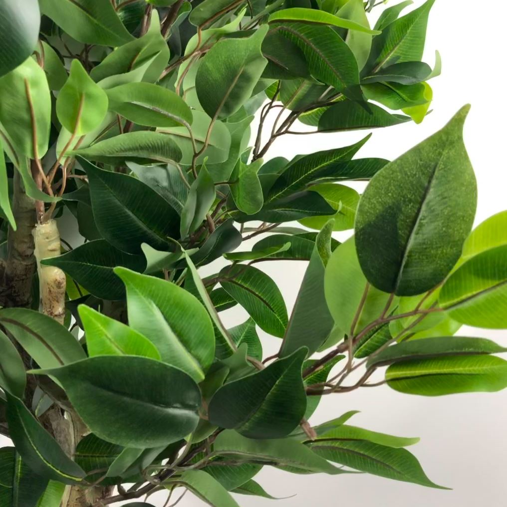 110cm Artificial Evergreen Ficus Tree – image 6