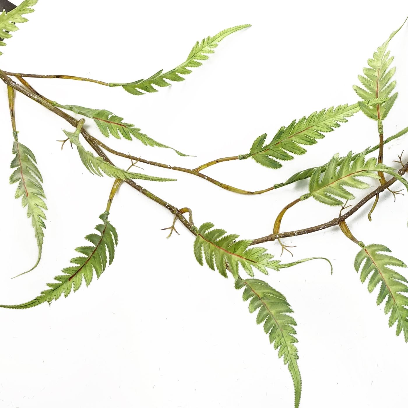 125cm Artificial Hanging Trailing Fern Plant – image 2
