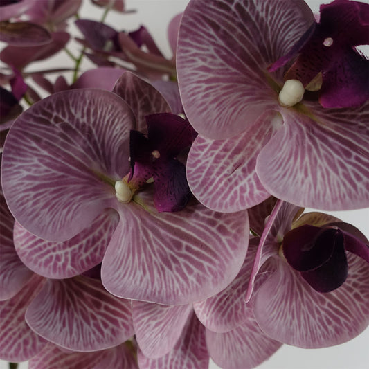 100cm Artificial Phalaenopsis Orchid Purple Stem – image 2
