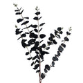 80cm Artificial Black Eucalyptus Foliage Stem