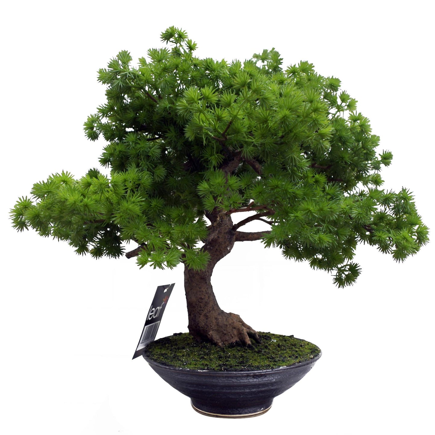 Artificial Luxury Pine Bonsai Tree 50cm – image 5
