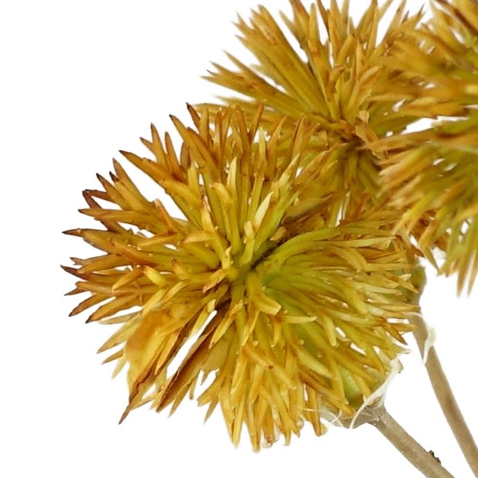 85cm Craspedia Stem Yellow Artificial – image 5