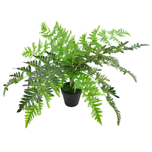 50cm Luxury Artificial Evergreen Fronded Fern Plant – image 2