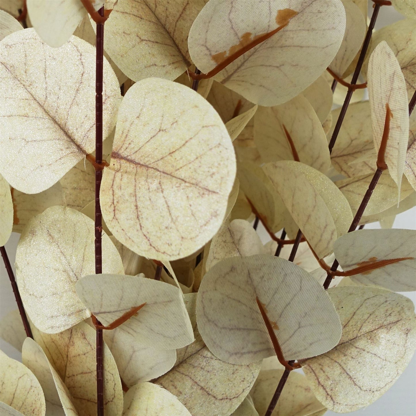 80cm Artificial White Eucalyptus Foliage Stem – image 3