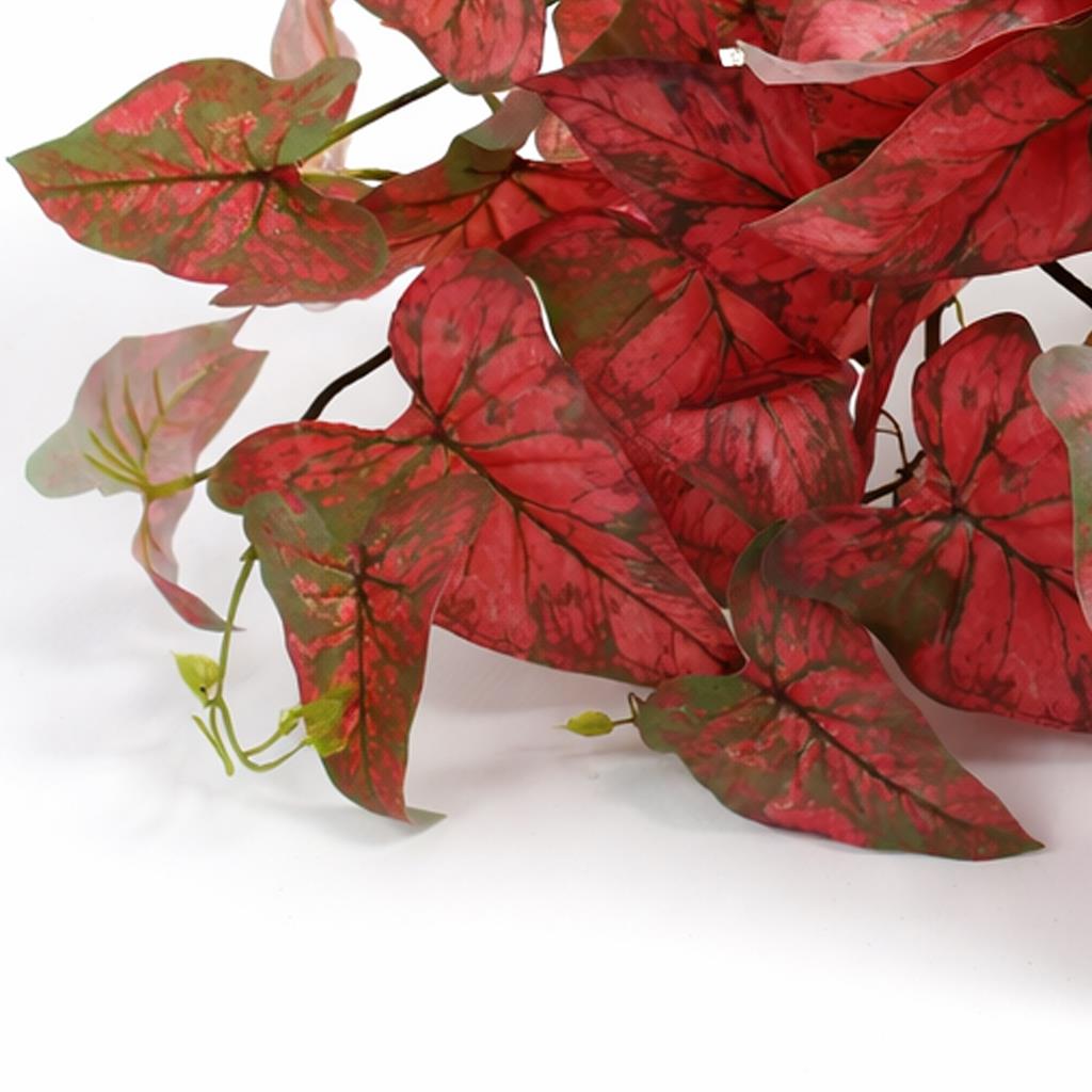 30cm Artificial Trailing Red Caladium – image 4