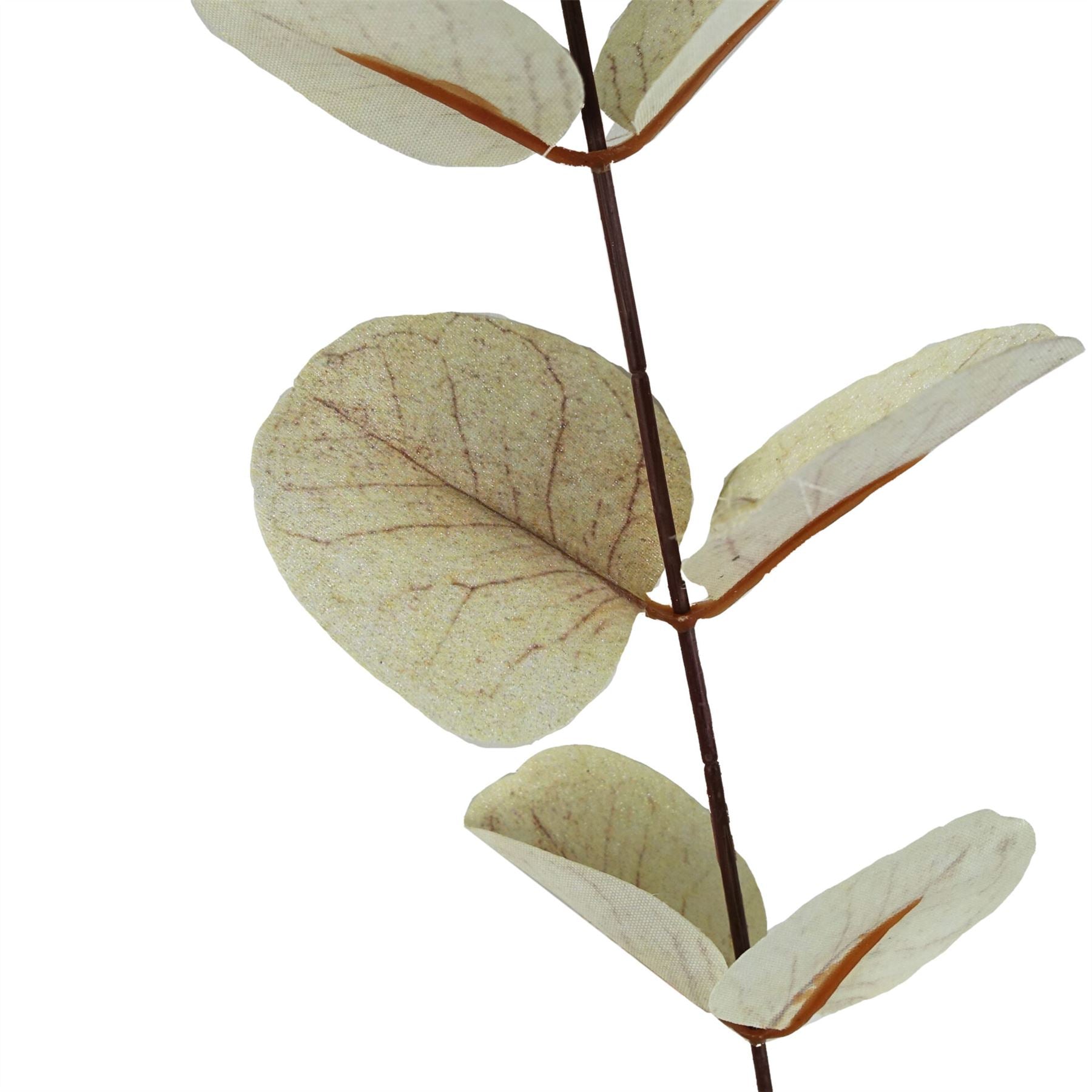80cm Artificial White Eucalyptus Foliage Stem – image 5