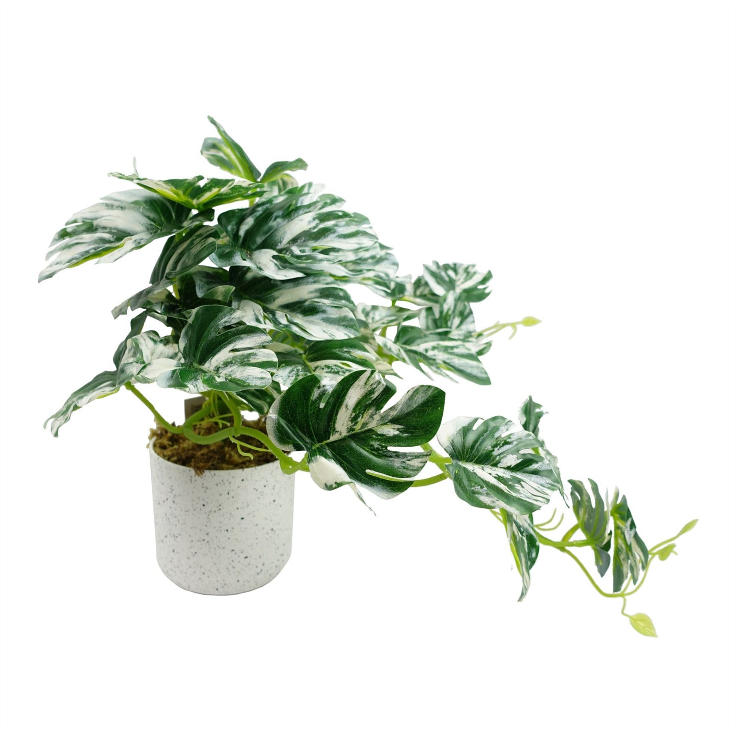 30cm Artificial Variegated Green Potted Monstera Trailing Plant – image 4