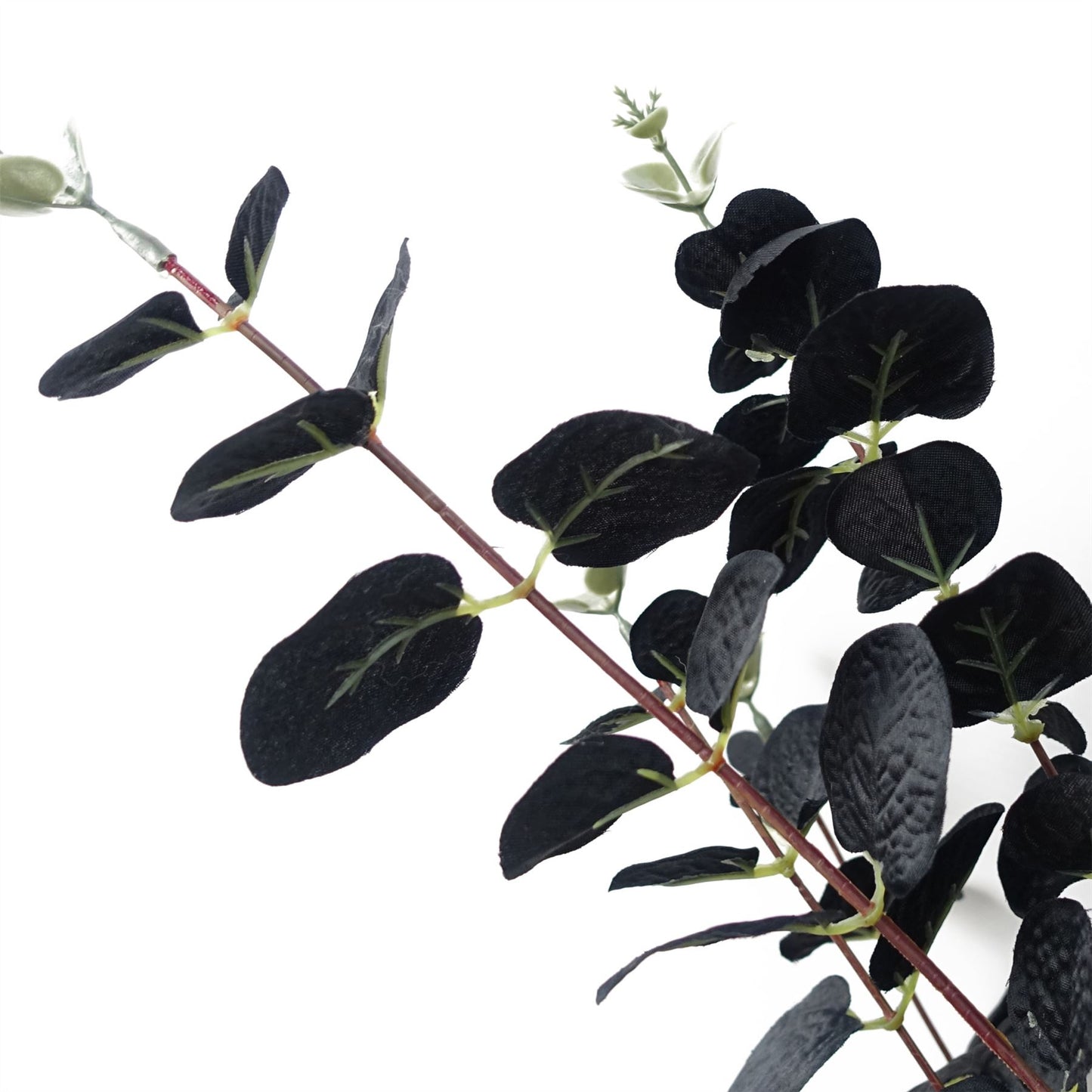 80cm Artificial Black Eucalyptus Foliage Stem – image 4