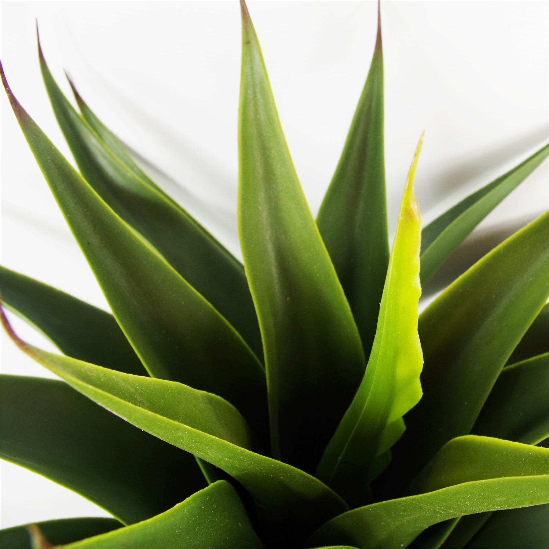 Artificial 55cm Yucca Plant – image 3