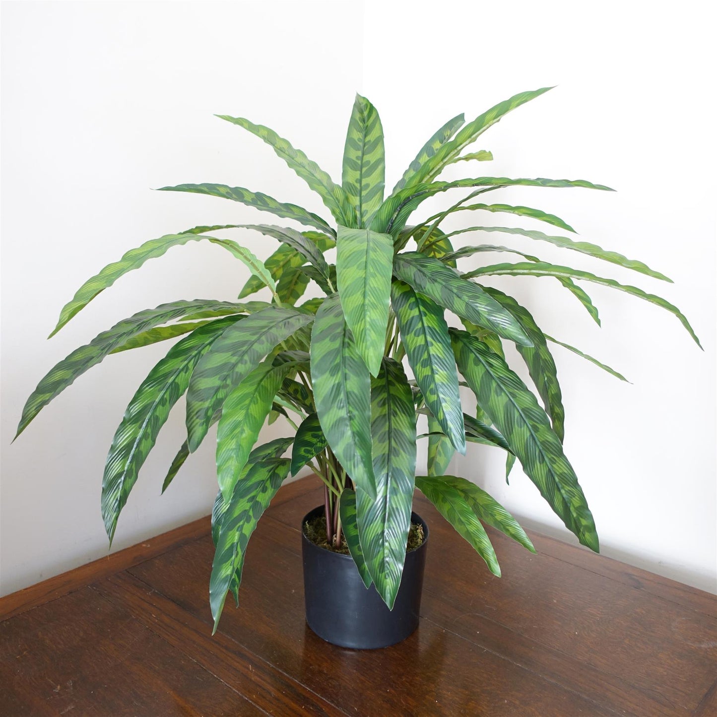 60cm Variegated Artificial Calathea Plant – image 3