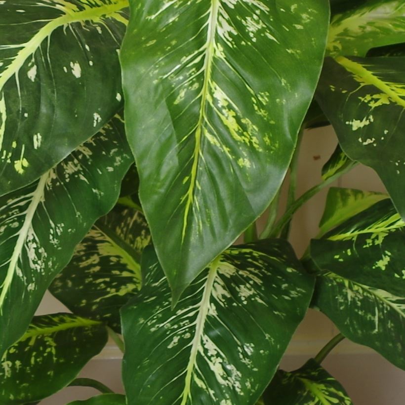 100cm Large Spotted Evergreen Tree Artificial Plant – image 4