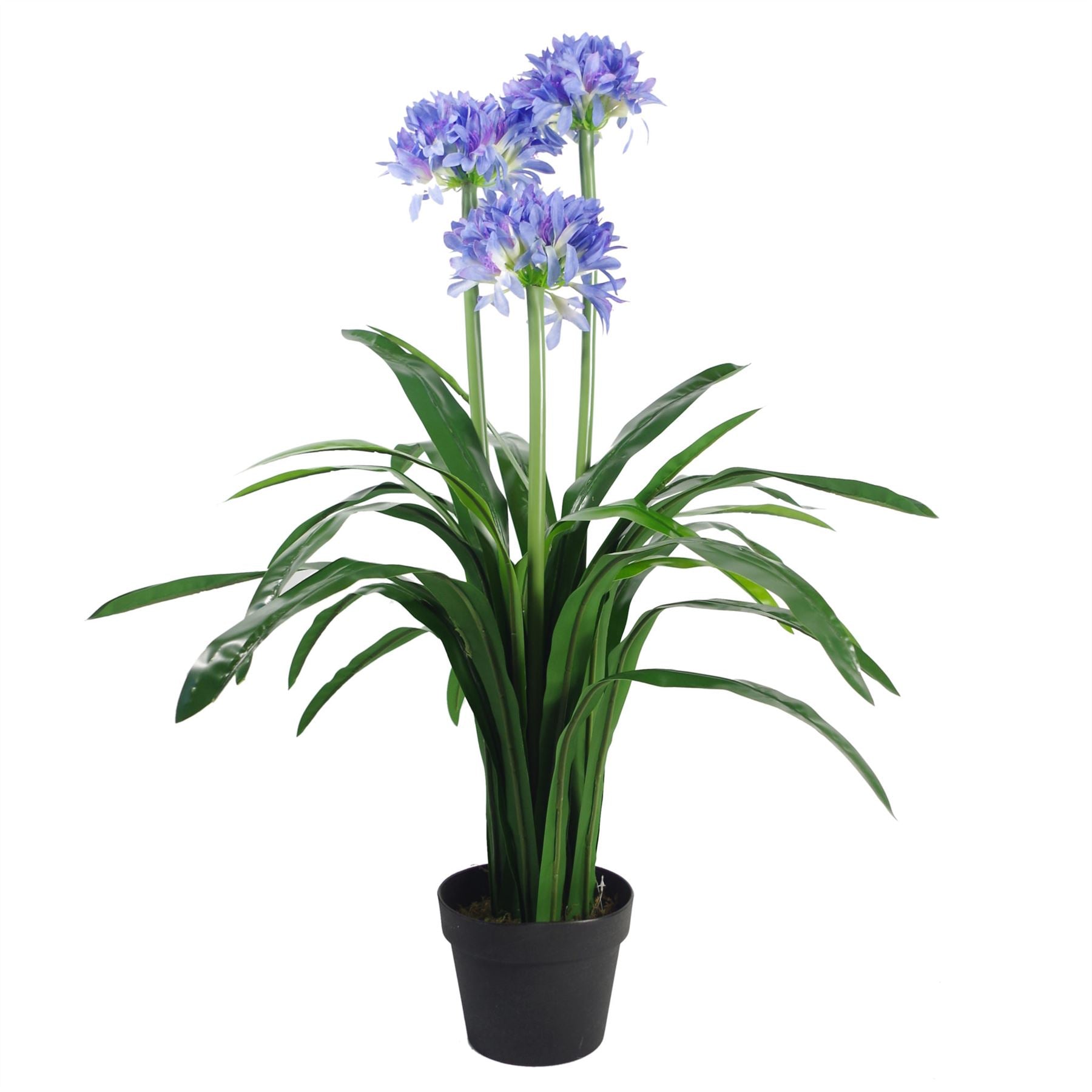 90cm Premium Artificial Agapanthus with pot BLUE – image 2