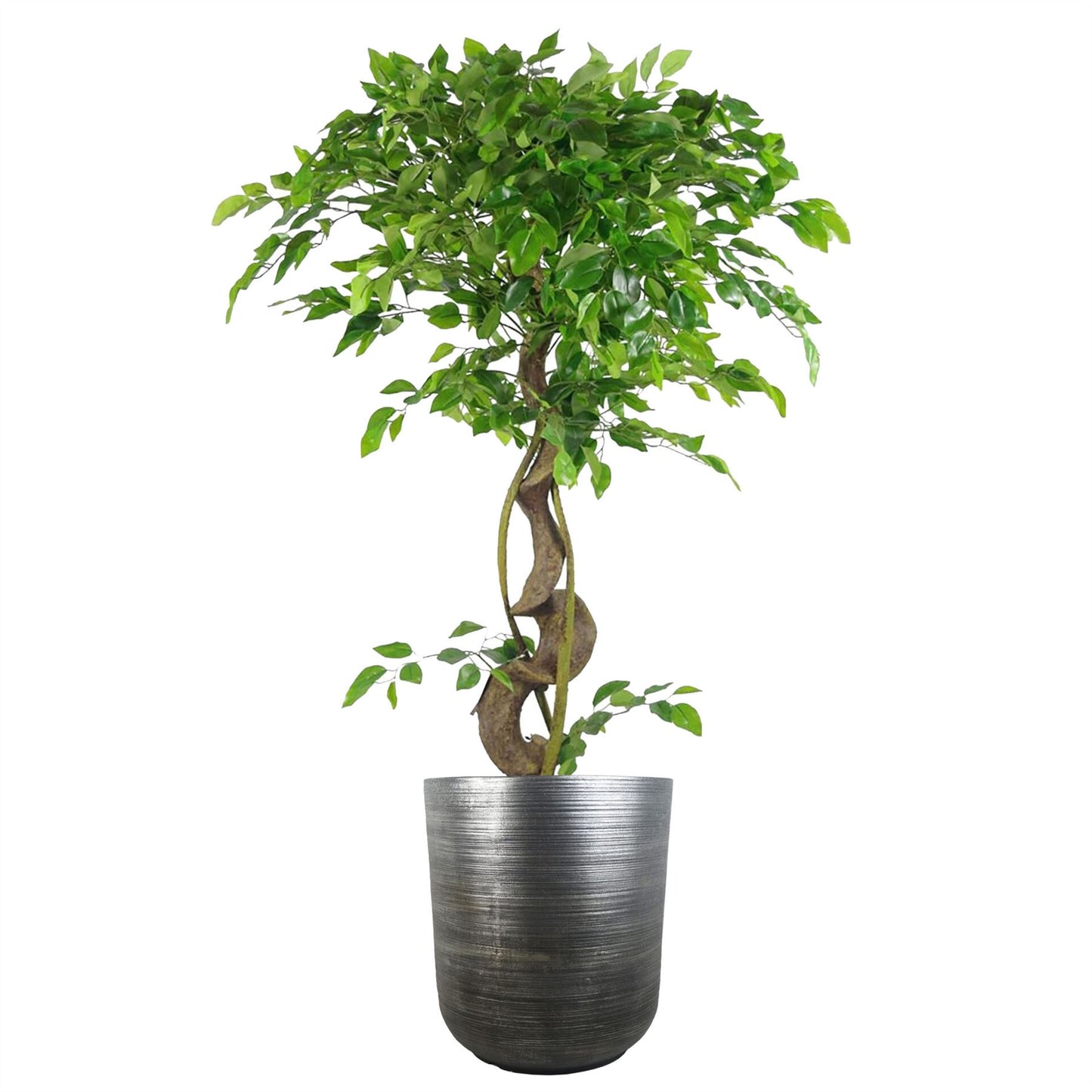 39cm x 33cm Coya Silver Ridged Planter Large Composite Plant Pot – image 2