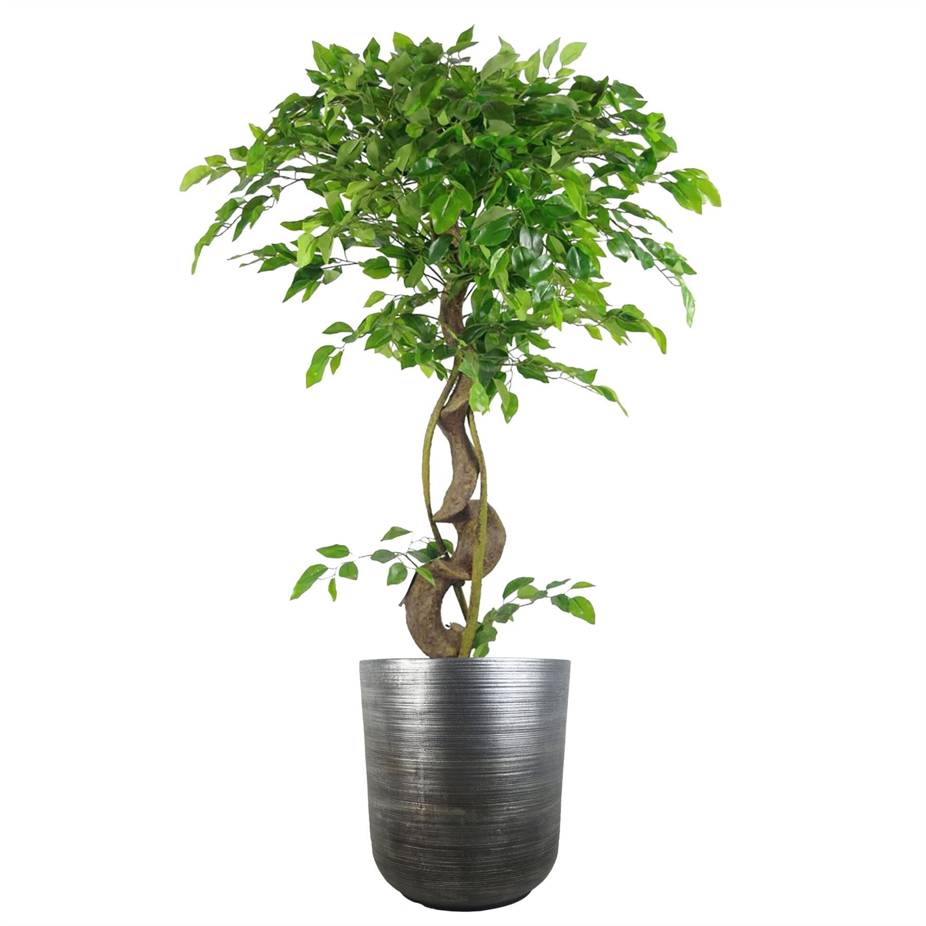 39cm x 33cm Coya Silver Ridged Planter Large Composite Plant Pot – image 2