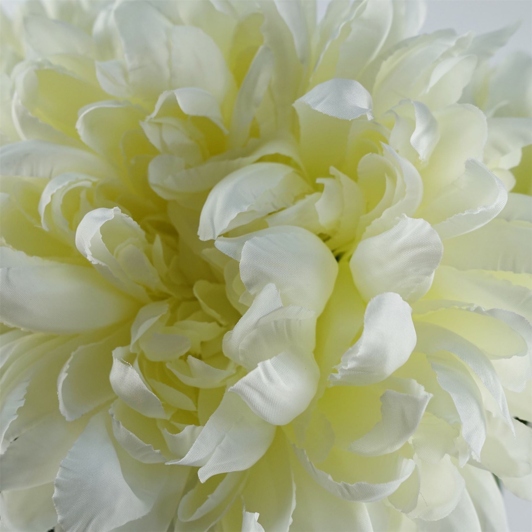 75cm Artificial Extra Large Reflex Chrysanthemum White – image 2
