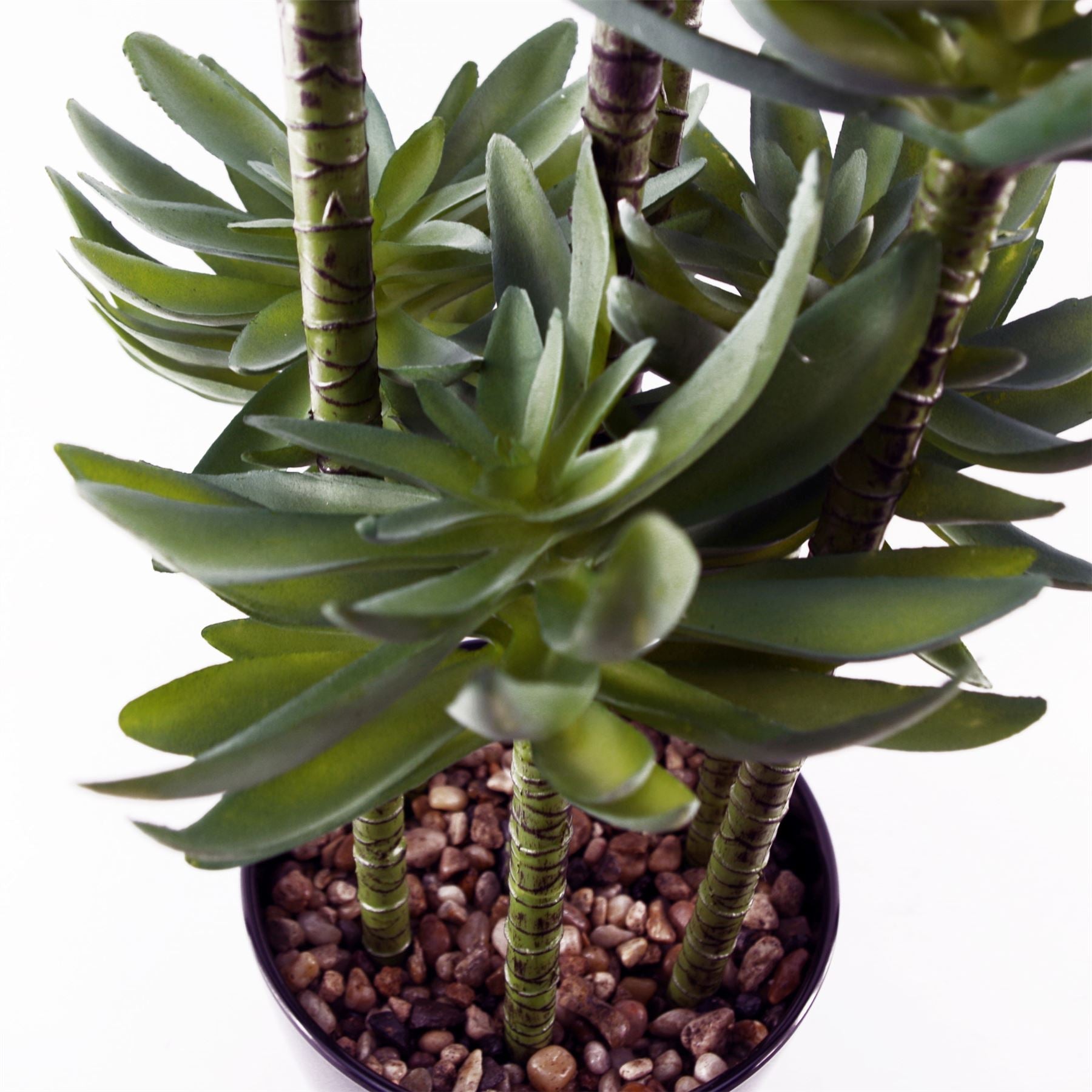 60cm Artificial Tropical Yukka in Planter – image 4