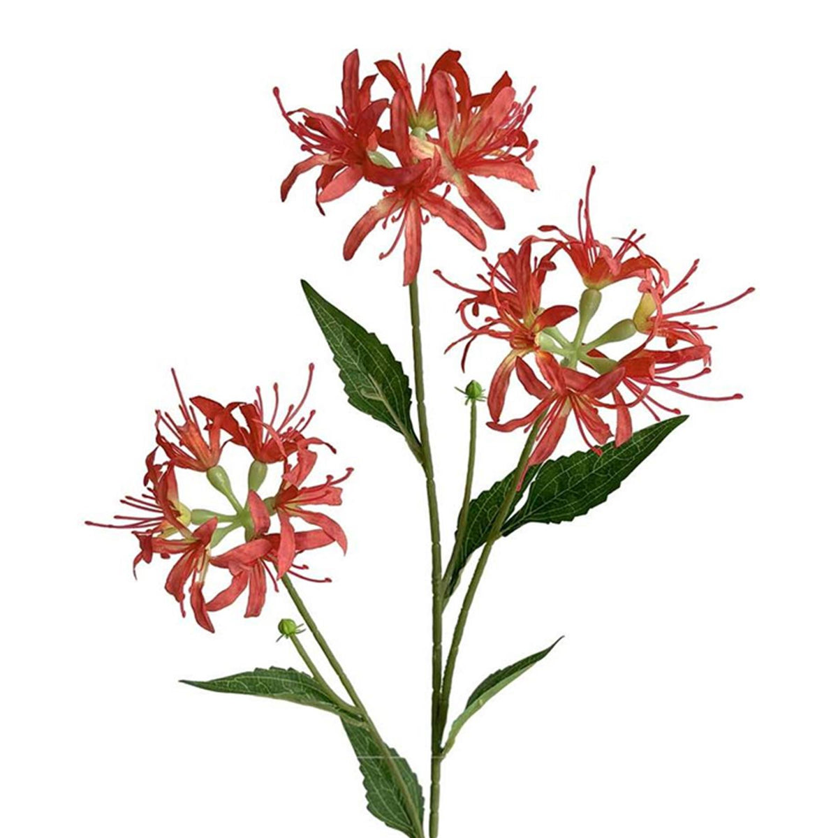 72cm Artificial Coral Spider Lily Stem
