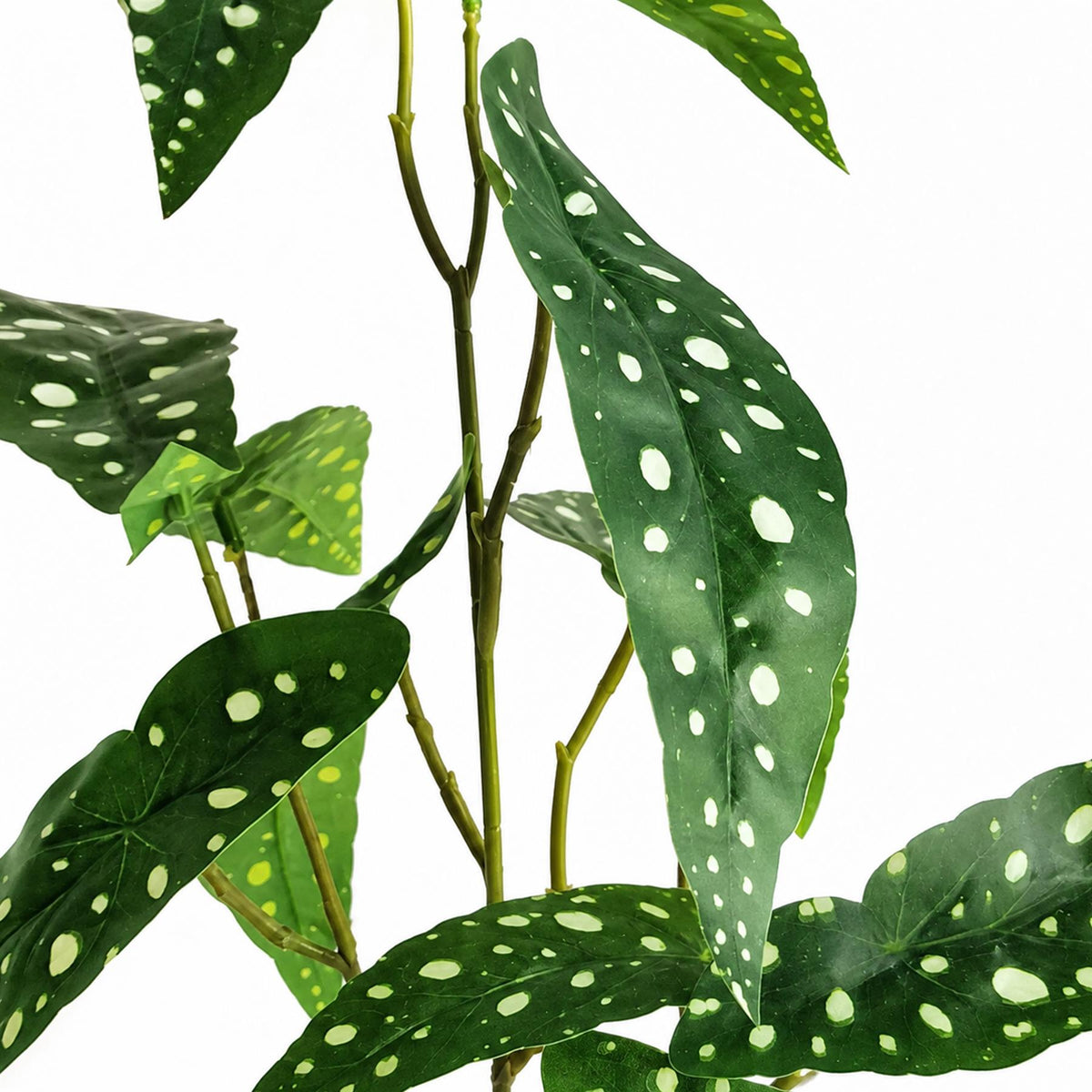 80cm Artificial Begonia Maculata Polka Dot Foliage Stem