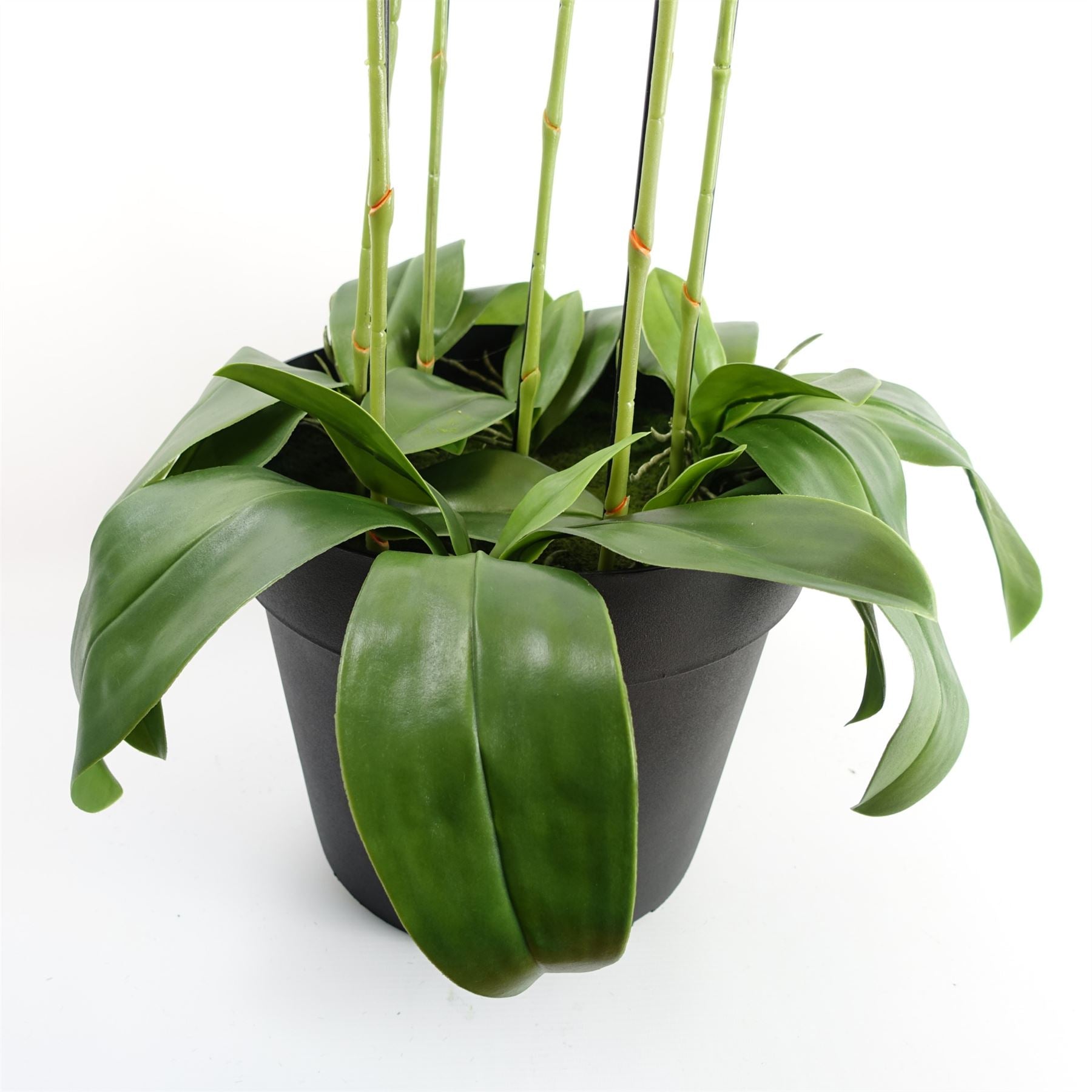 110cm Artificial White Orchid Plant Artifcial 41 REAL TOUCH flowers – image 4