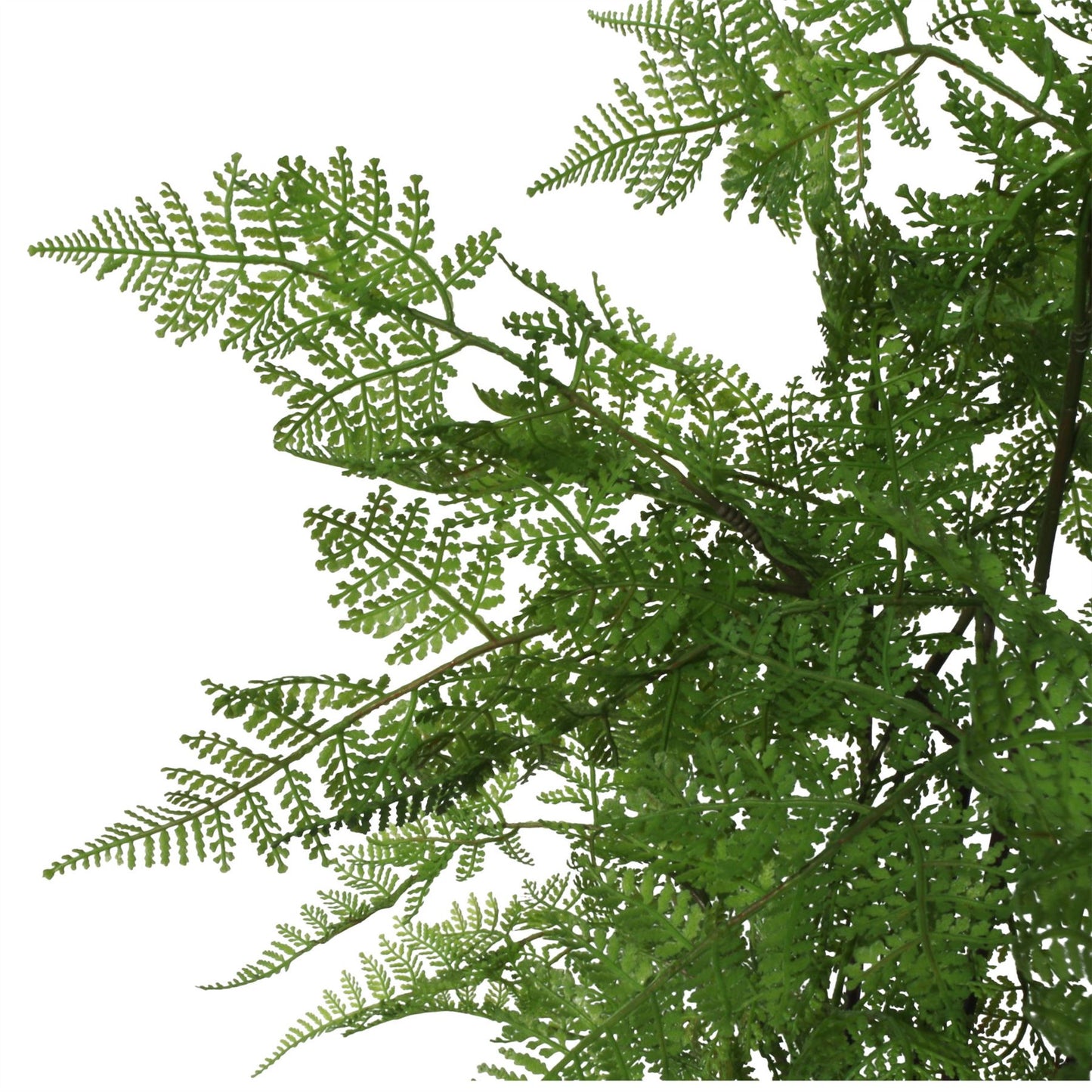 150cm Artificial Moss Base Fern Foliage Plant with Copper Metal Plater – image 8