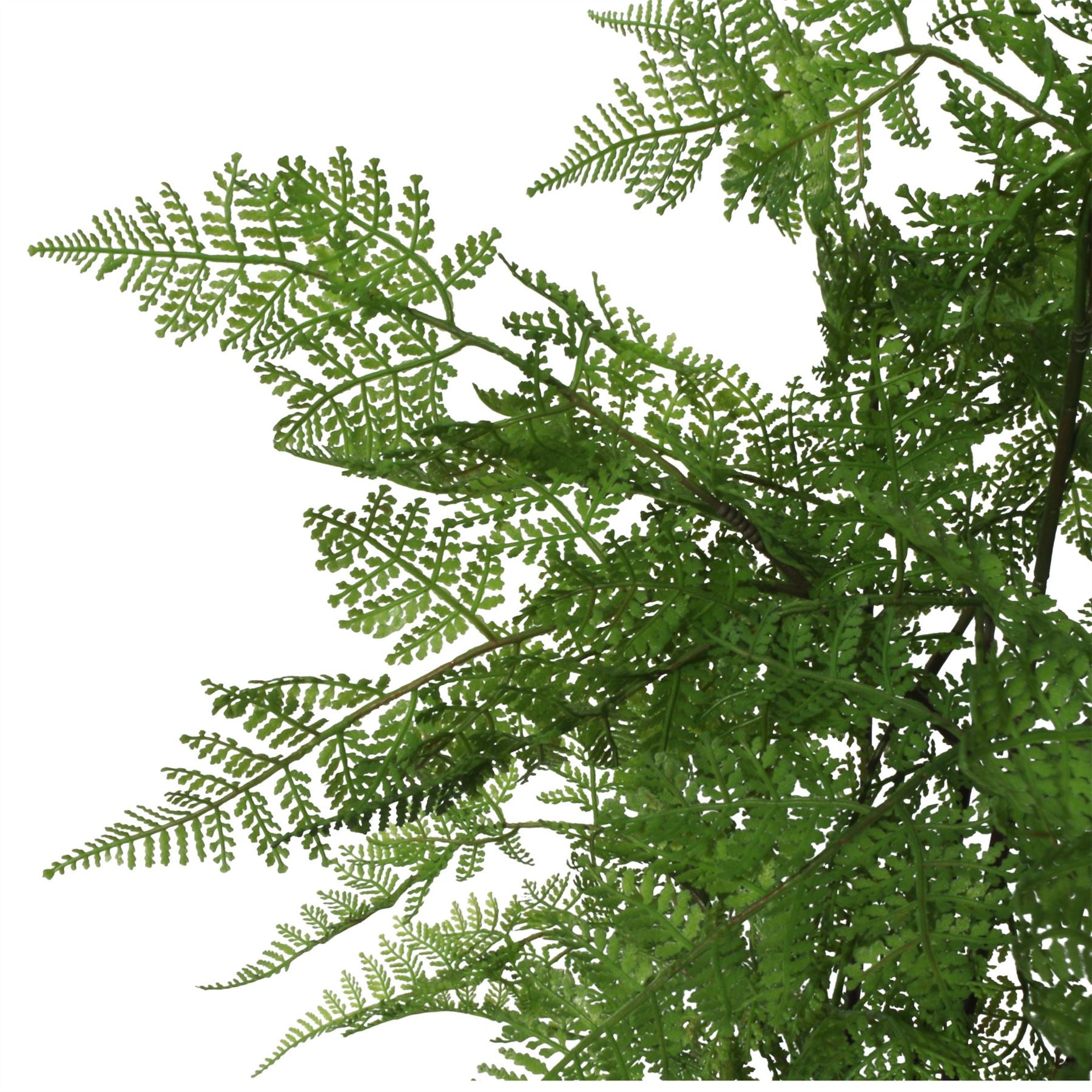 150cm Artificial Moss Base Fern Foliage Plant with Copper Metal Plater – image 8
