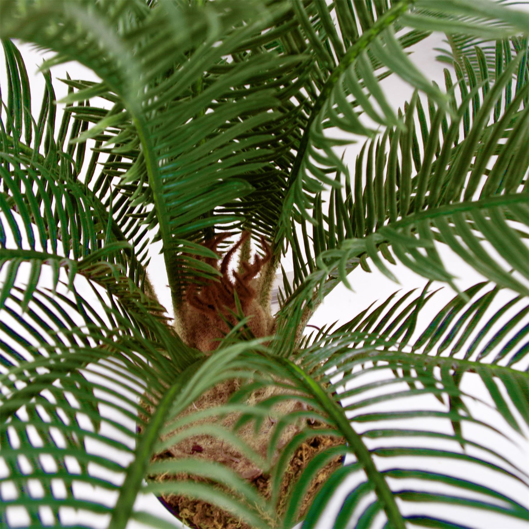 60cm Artificial Tropical Cycas Palm Plant – image 5